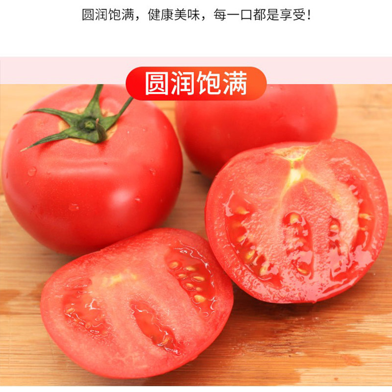【槿馐】西红柿500g新鲜大番茄沙瓤可生吃自然熟孕妇水果农家自种,淘宝优惠券,粉丝福利购,淘宝优惠卷