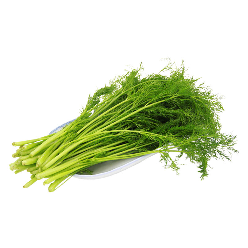 【槿馐】新鲜茴香叶500g小茴香苗新鲜茴香叶饺子馅料茴香菜_虎窝淘