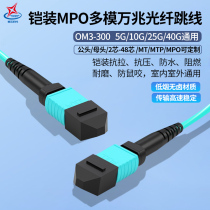 Sheathed MPO-MPO MTP MTP male head fiber jumper OM3 10000 trillion Multimode 8 Core 12 Core 24 Core MPO-LC5G10G25G40G100G Light Module