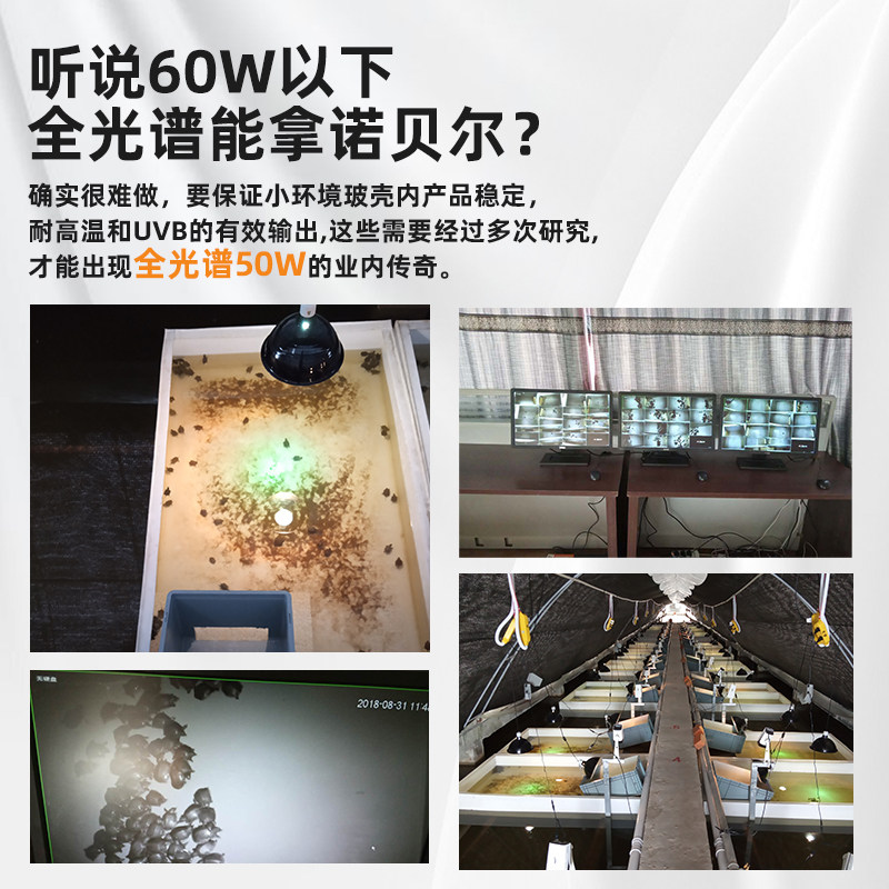 爬秀爬秀50W全光谱太阳灯爬宠乌龟晒背灯uva uvb补钙灯架黄缘加热