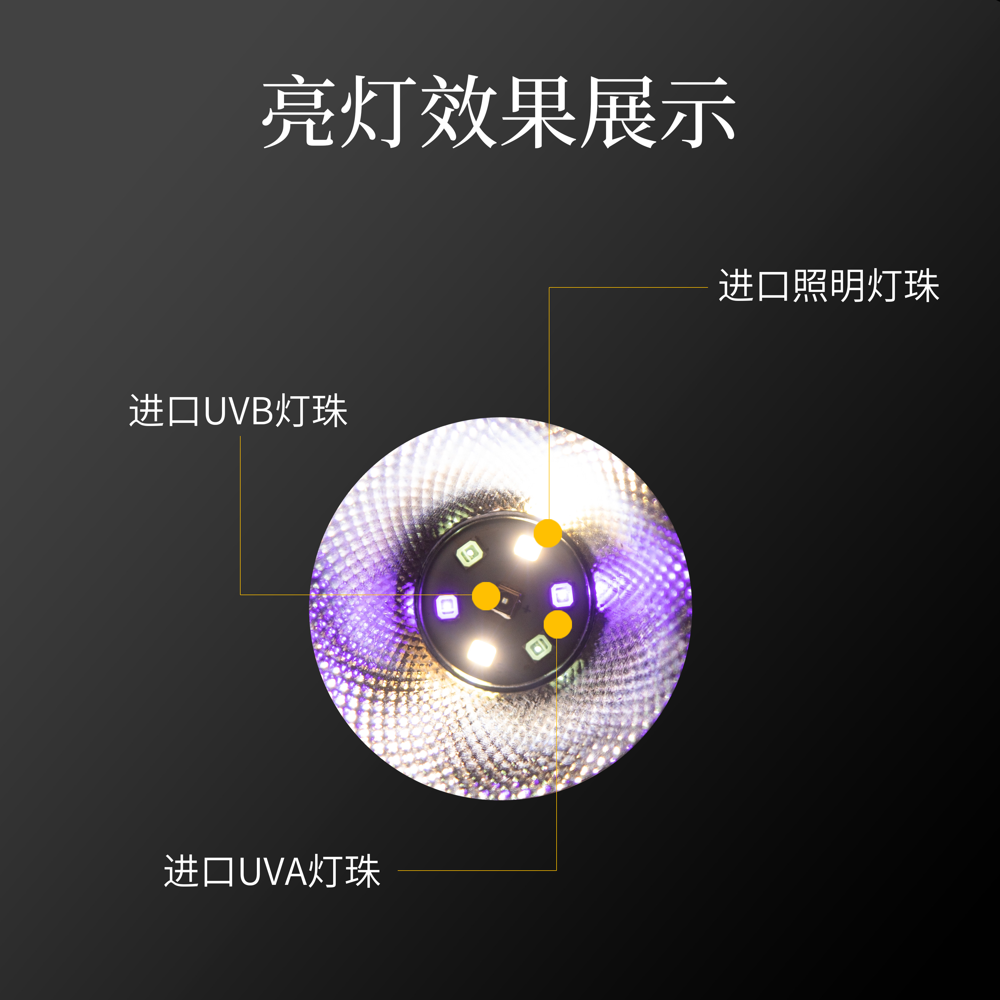 爬秀uvb乌龟晒背灯全光谱灯龟缸爬秀补钙太阳灯led灯泡夹蜥蜴爬宠