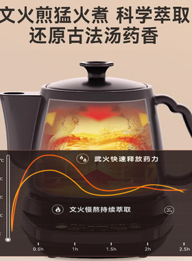 天际全自动陶瓷电煎药壶养生壶