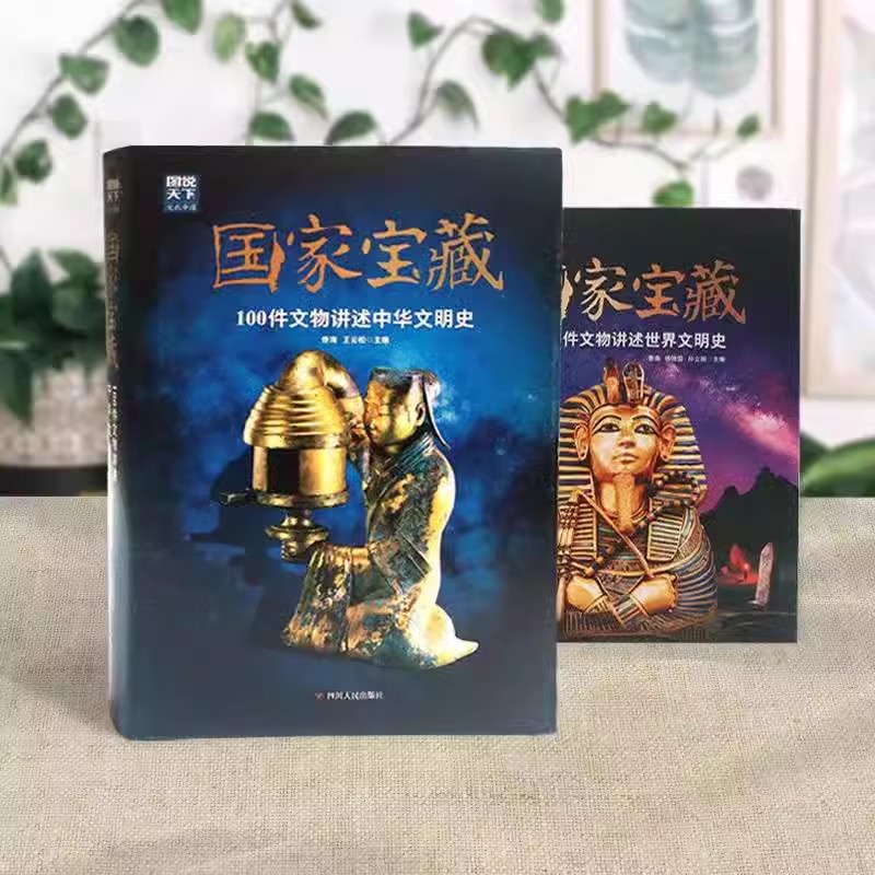 【精装】图说天下文化中国国家宝藏 中华文明史+世界文明史两册100件文物讲述中华文明史世界文明史中国通史世界历史书籍正版