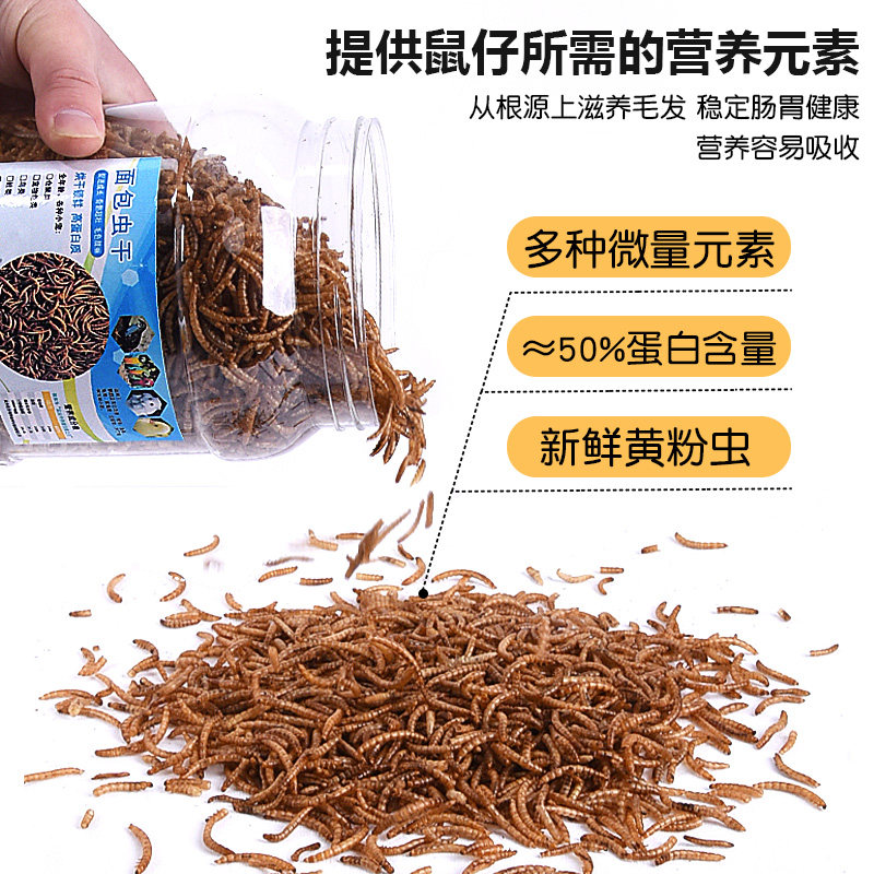 面包虫干罐装仓鼠零食芦丁鸡饲料食物黄粉虫干龟粮刺猬鸟零食虾干,淘宝优惠券,粉丝福利购,淘宝优惠卷