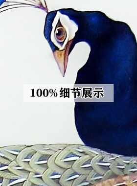 富瑞装饰画玄关中式招财富贵孔雀