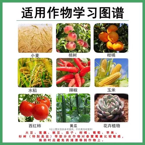 6%春雷霉素水稻稻瘟病软腐病角斑病春雷雷霉素春蕾霉素农药杀菌剂 - 图1
