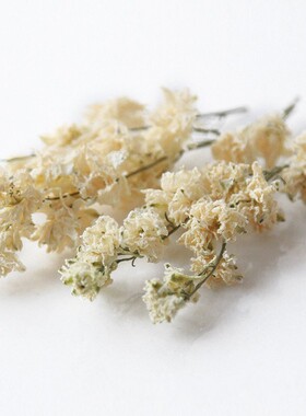 【飞燕草】天然植物花头香薰蜡烛手工diy材料包干花摆件拍摄道具