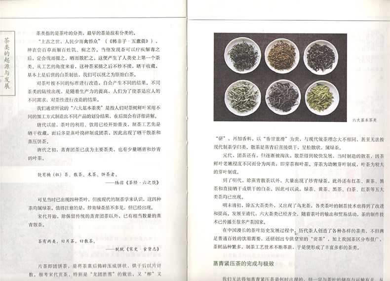 全新正版带塑封 好好喝茶 赵英立著 中国古茶文化茶经茶纪普洱茶黑白红绿茶起源与发展品茗基础入门读物 茶文化起源喝茶养生之道