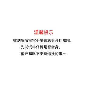 拉.夏百搭24新款复古高腰直筒牛仔裤_牛仔裤