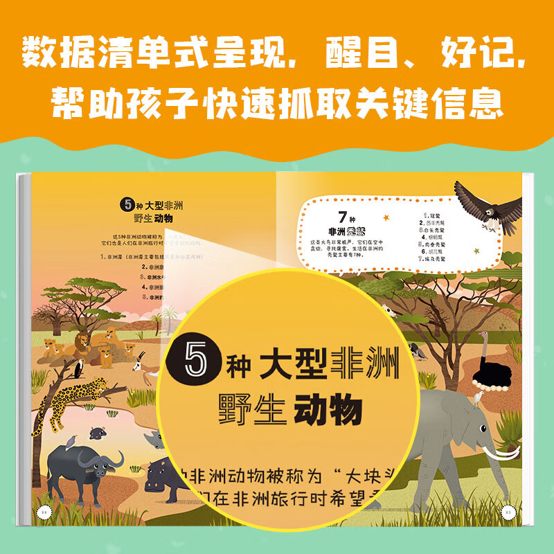 【8岁以上】不可思议的科学：那些你不知道的神奇万物知识 蕾切尔德拉海著 让人眼界大开的科普大书 9787521753264