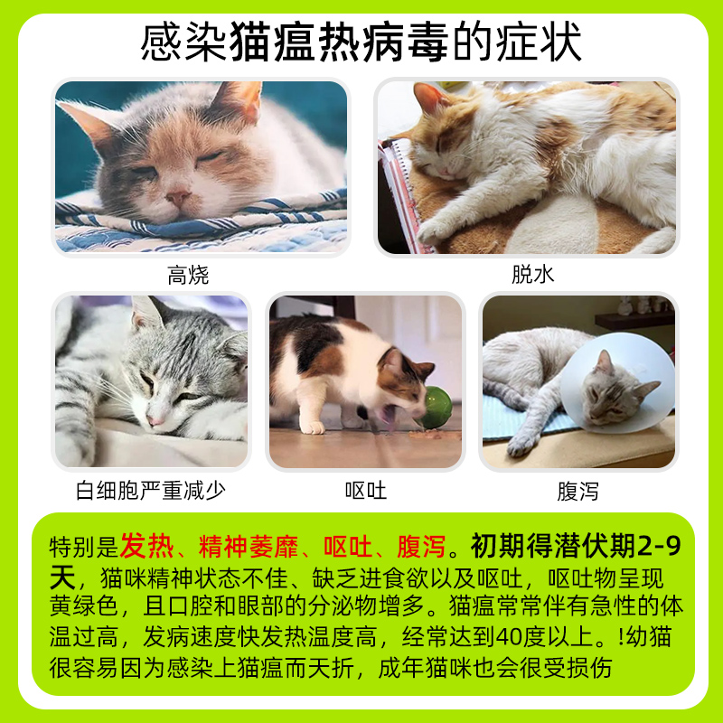 萌格猫瘟试纸病毒检测卡FPV测试卡猫试纸宠物常备用品治疗套餐-图0