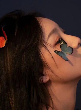 3D仿真双层彩色蝴蝶面部饰品脸贴自拍写真道具舞台妆立体墙贴蓝色