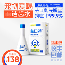 5 Stars Pinterest net kitty Puppy Pets Pets Mouthwash Oral Cleaning Mouth Smells Tooth teeth Tooth Stones Clean Teeth water