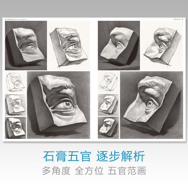 国美石膏五官素描书头像结构临摹范本人物切面像人头美术生对临入门画册临本考级联考明暗照片素材绘画教程解剖亚历山大半面像头部,淘宝优惠券,粉丝福利购,淘宝优惠卷