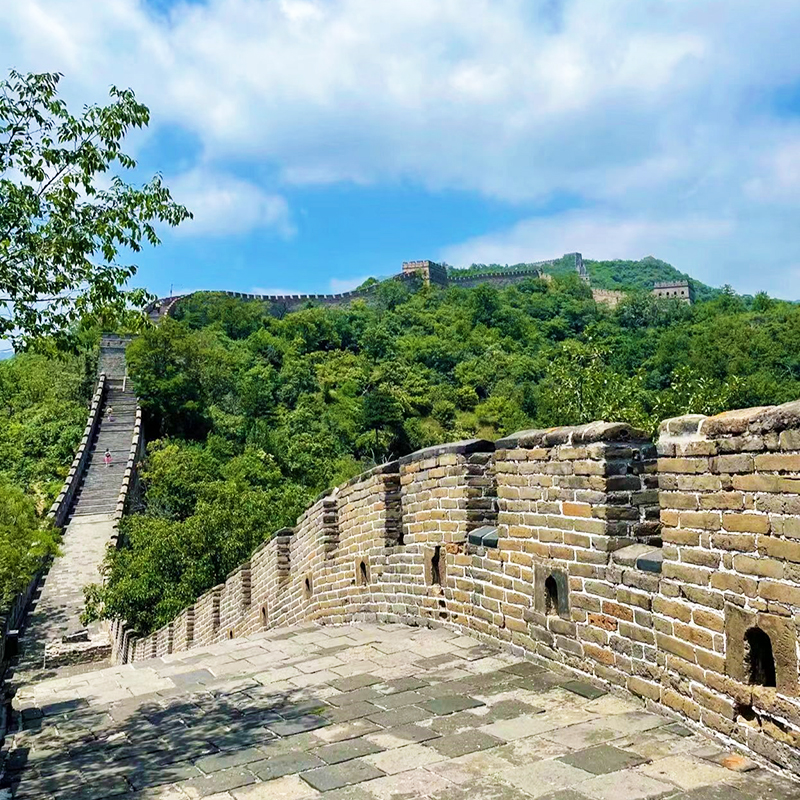 北京八达岭长城包车一家一团专职司机包车旅游含门票自由无束缚 - 图2