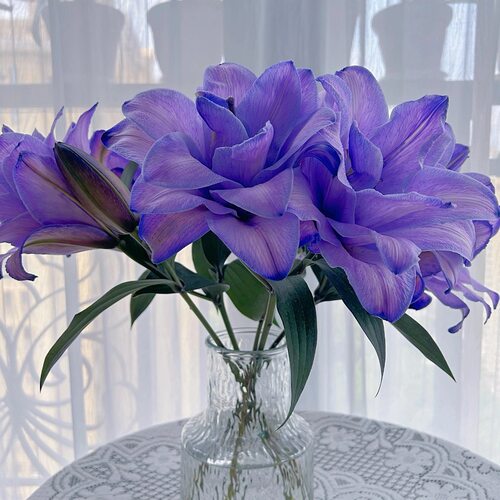 紫霞仙子紫重瓣香水百合花束云南直发鲜花A级节日礼物供佛鲜切花 - 图2