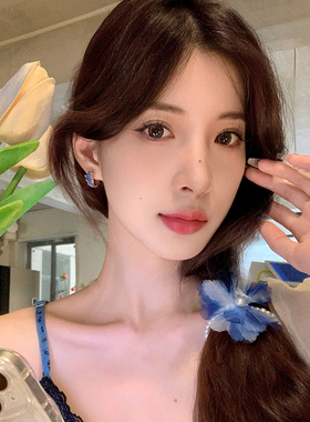 蓝色水晶耳环女小众设计感高级