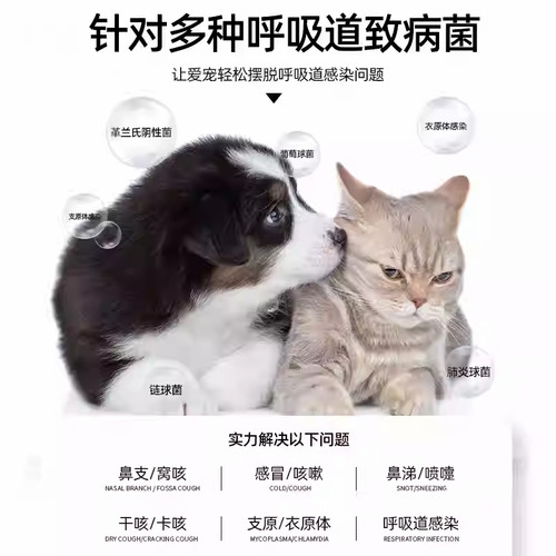 猫咪狗狗感冒药止咳犬用宠物泰迪消炎片咳嗽头孢发烧盐酸多西环素 - 图1
