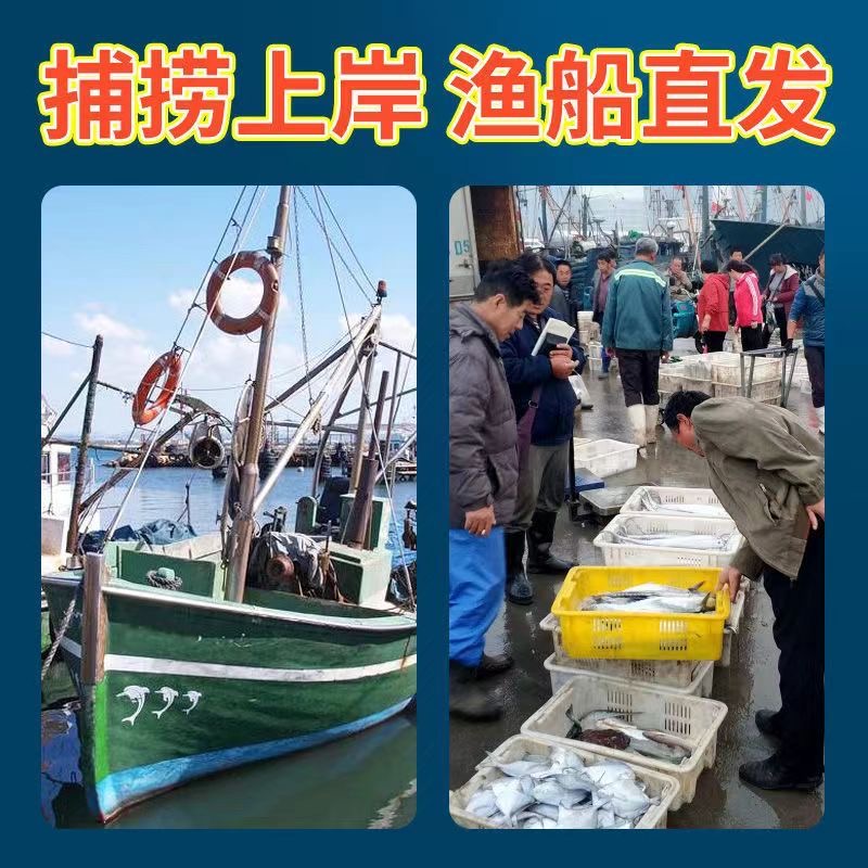 银鲳鱼特大深海新鲜鲜活海鲜冷冻深海白鲳平鱼昌鱼新鲜水产镜鱼海 - 图0