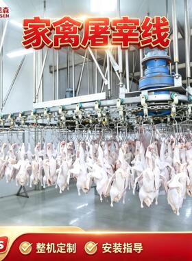 厂家供应鸡屠宰线 肉鸡自动宰杀流水线设备 不锈钢鸡鸭鹅屠宰线
