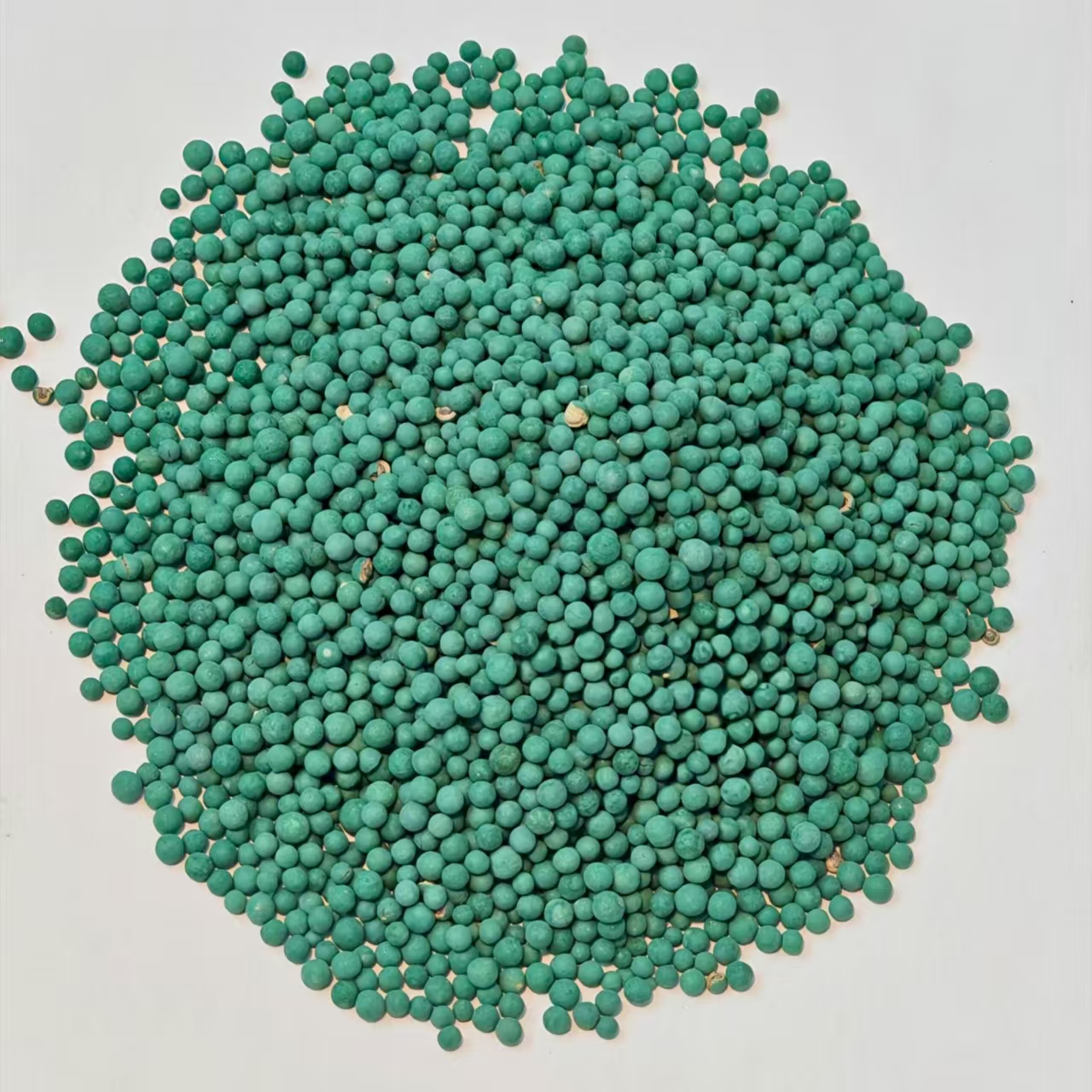 铜钱草种子水培室内盆栽种子四季金钱草种子防辐射绿植种子水草 - 图3