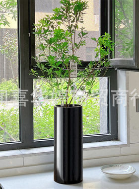 大型龙柳南天竹专用花黑色玻璃特大号5040公分摆件客厅插花