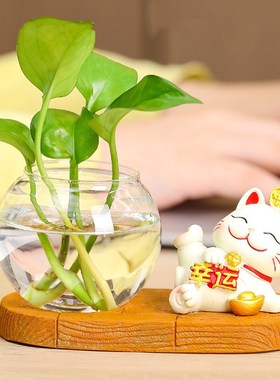 可爱招财猫水培玻璃瓶摆件饰品办公桌绿萝花瓶卡通幸运猫喜庆礼品