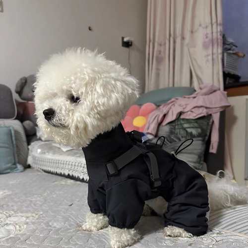 新款洋气小狗帅气可牵引狗狗超萌宠物专用户外防风外出衣服冲锋衣 - 图0