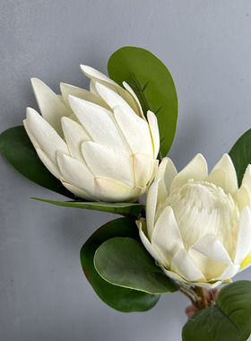 欧式仿真花单支帝王花客