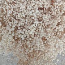 Full Star Dried Flowers Bouquet Grand to spend the Yongsheng Flowers Full Star Wedding Simulation Bouquet Yunnan Factory Straight For