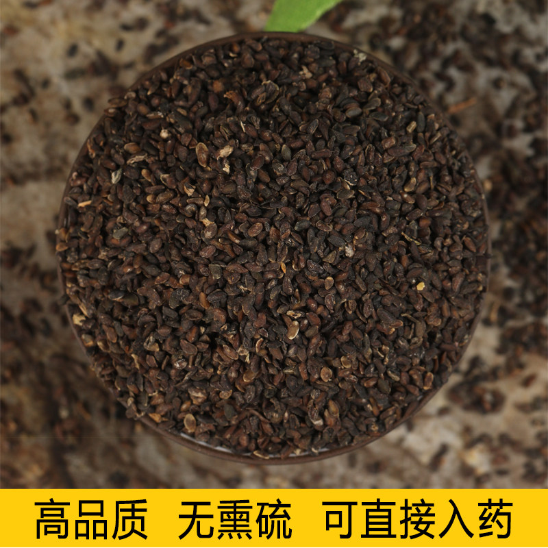 车前草种子中药材车前子籽新鲜种植苗草籽泡水另马齿苋蒲公英