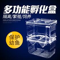 Small Fish Tank Isolated Box Ornamental Fish Breeding Box Peacock Spawning Room Hatchbox Two-in-one Isolated Bucket Fish Fish Tank