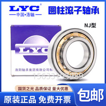 Luoyang LYC bearings cylindrical roller bearings NJ NU NUP 2309 2310 2310 2312 2312 2313 EM