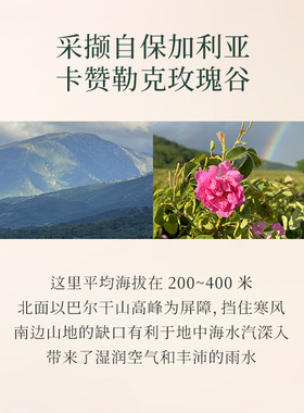 橪大马士革玫瑰精油原料保加利亚