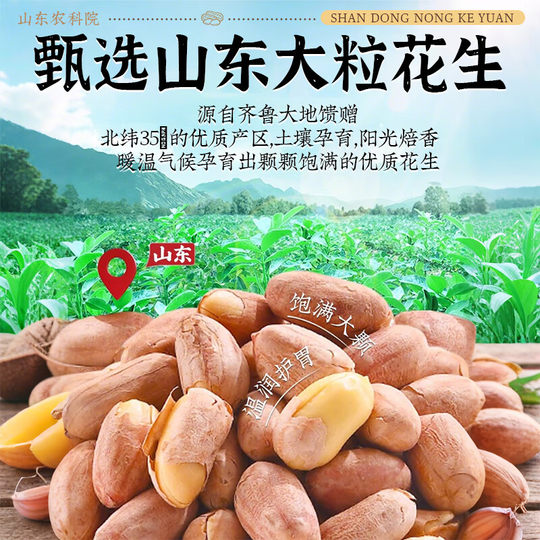 Cacahuetes tostados con cinco especias, desaceitados, 300w+ Shandong, superventas