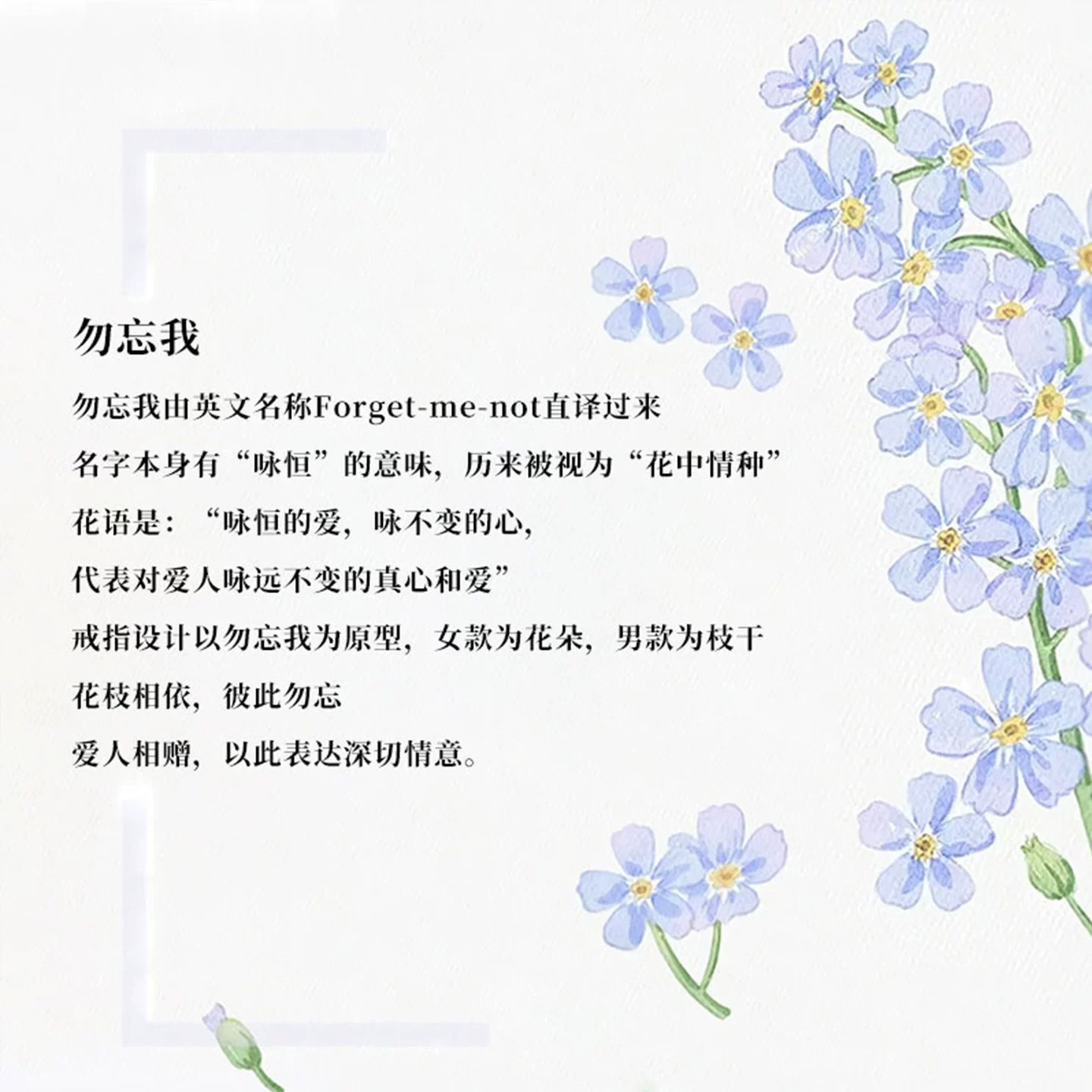 Forget-me-not couple ring anniversary gift
