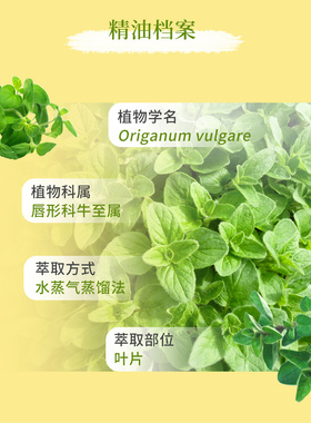 多特瑞美国杀菌提高免疫精油