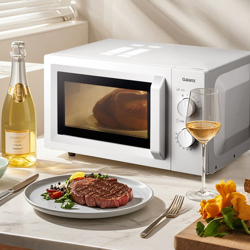 Galanz/格兰仕新品家用旋钮速热微波炉23升简约多功能官方正品X50 - 图0