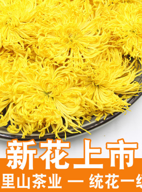 25年新花黄山金丝皇菊散装菊花茶水果茶一杯一朵大黄菊花