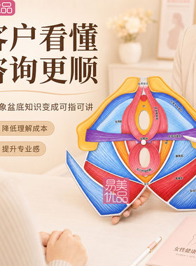 女性盆底肌教学模型四层盆底结构教具产后康复护理课程培训演示