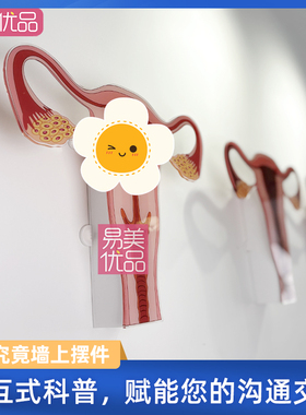 产康店一探究竟墙上摆件灵魂通道交流妇科医学科普模型通道变化品