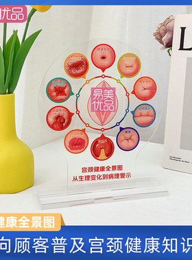 亚克力宫颈健康图美容院互动工具营销利器女性健康知识普及咨询区