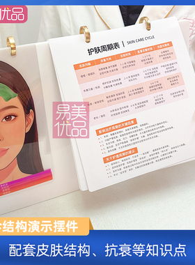 美容院面部面诊结构演示摆件肌肤解剖美肤知识项目成交接待神器台