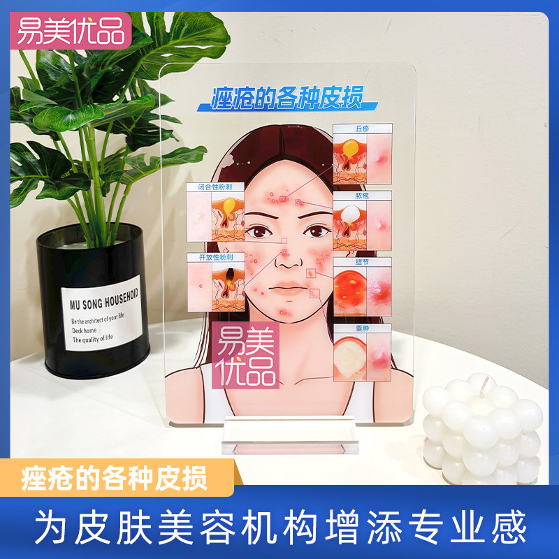 专业皮肤美学教具痤疮的各种皮损亚克力展示牌医患沟通项目介绍物