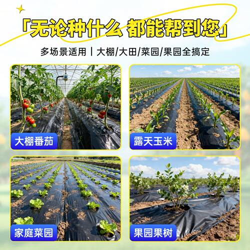 黑色地膜加厚除草保温保湿家用种菜大棚果园大田覆盖种植农用薄膜 - 图2