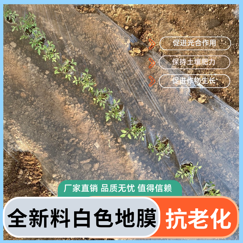 白色塑料膜地膜种菜专用葱蒜育苗地膜农用种植全新料保温保湿薄膜,淘宝优惠券,粉丝福利购,淘宝优惠卷