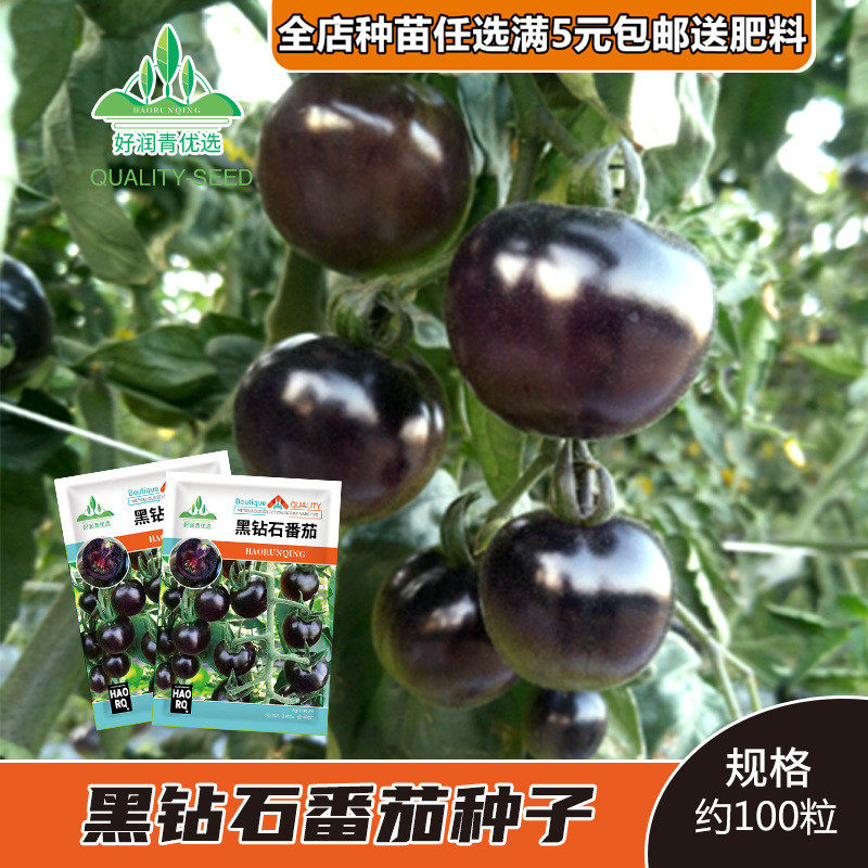 千禧小番茄圣女果西红柿家庭蔬菜种子孑紫茄子四季阳台盆栽小柿子,淘宝优惠券,粉丝福利购,淘宝优惠卷