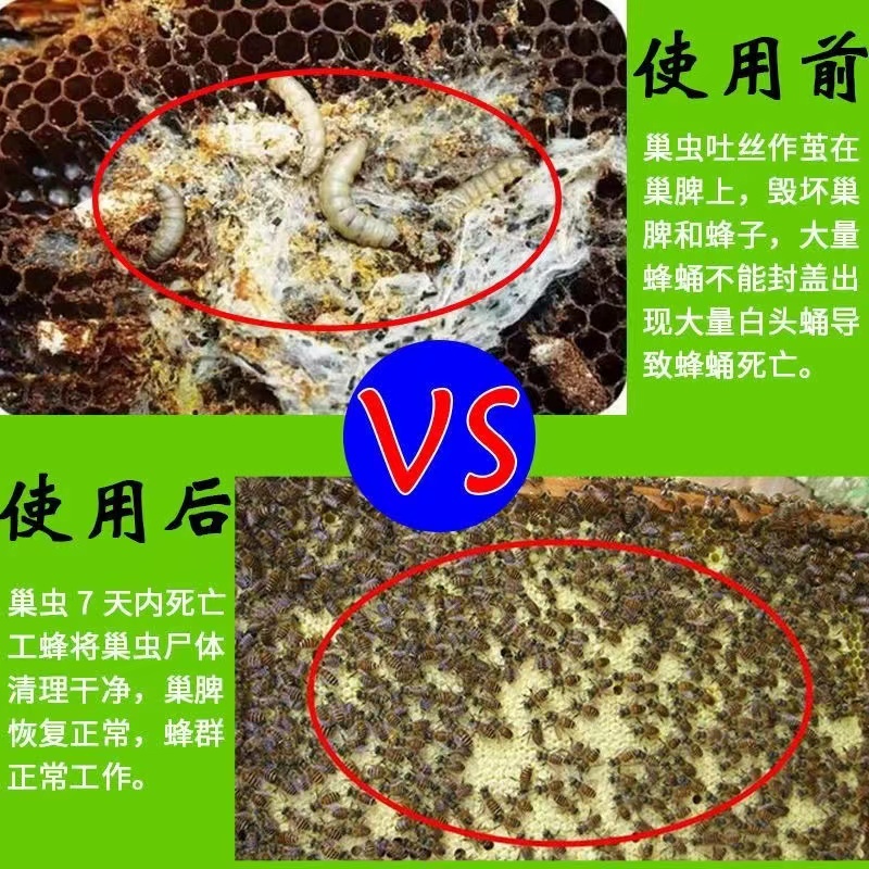 巢虫一喷净巢虫清喷剂木片中蜂专用膏一喷净灭灵杀白头蛹棉虫喷剂 - 图2