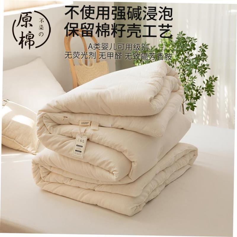 Sofe Comforter Duvet Blanket Air Condition Quilt Summer 夏被 - 图2