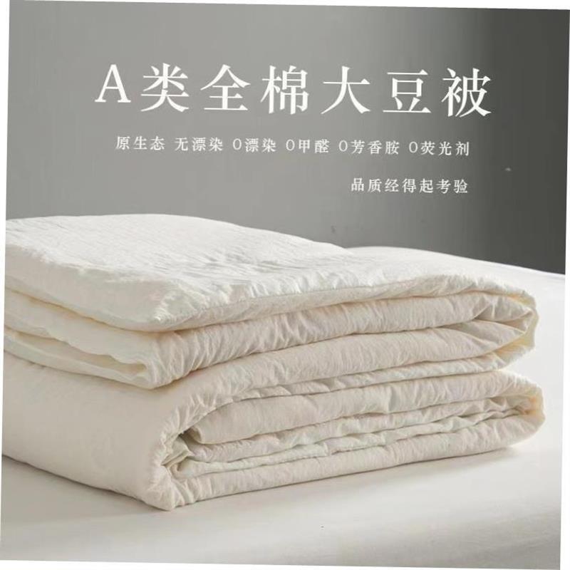 Sofe Comforter Duvet Blanket Air Condition Quilt Summer 夏被 - 图0